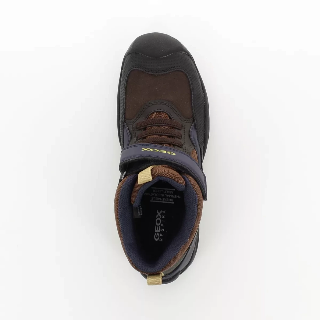 Image (6) de la chaussures Geox - Bottines Marron en Cuir synthétique